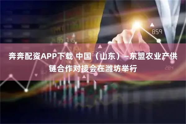 奔奔配资APP下载 中国（山东）—东盟农业产供链合作对接会在潍坊举行