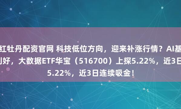 红牡丹配资官网 科技低位方向，迎来补涨行情？AI基建迎重磅利好，大数据ETF华宝（516700）上探5.22%，近3日连续吸金！